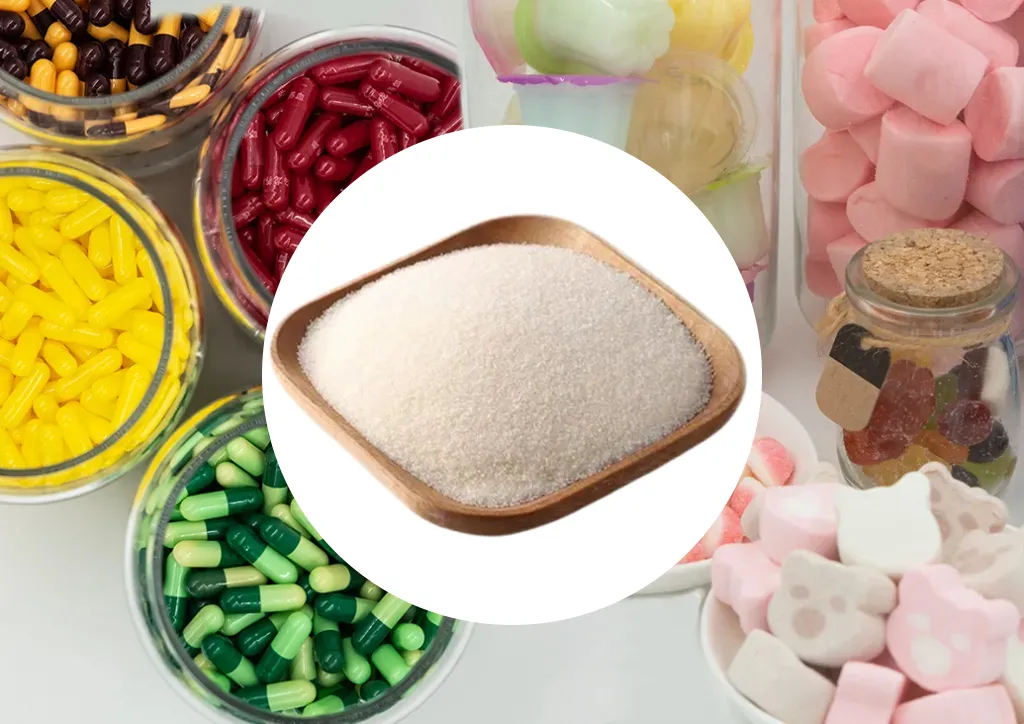 Halal Gelatin Manufacturer & Global Exporter